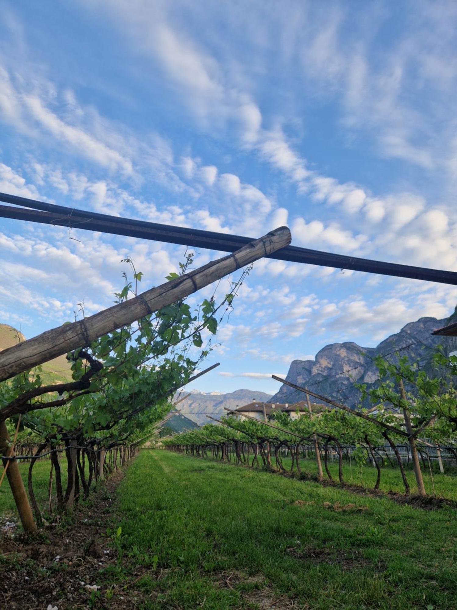 Antico Fienile Agritur Villa Мецокорона Екстериор снимка