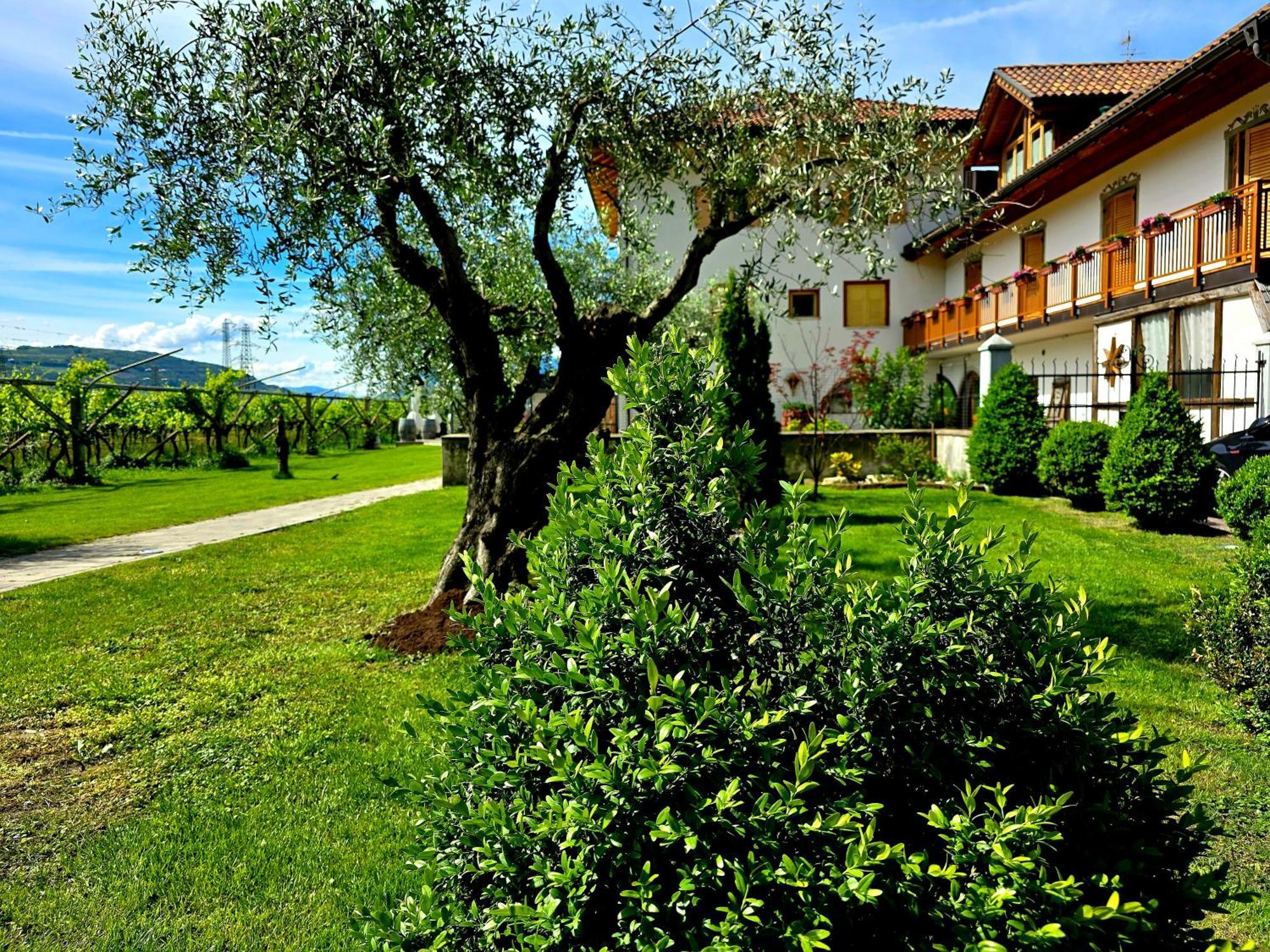 Antico Fienile Agritur Villa Мецокорона Екстериор снимка