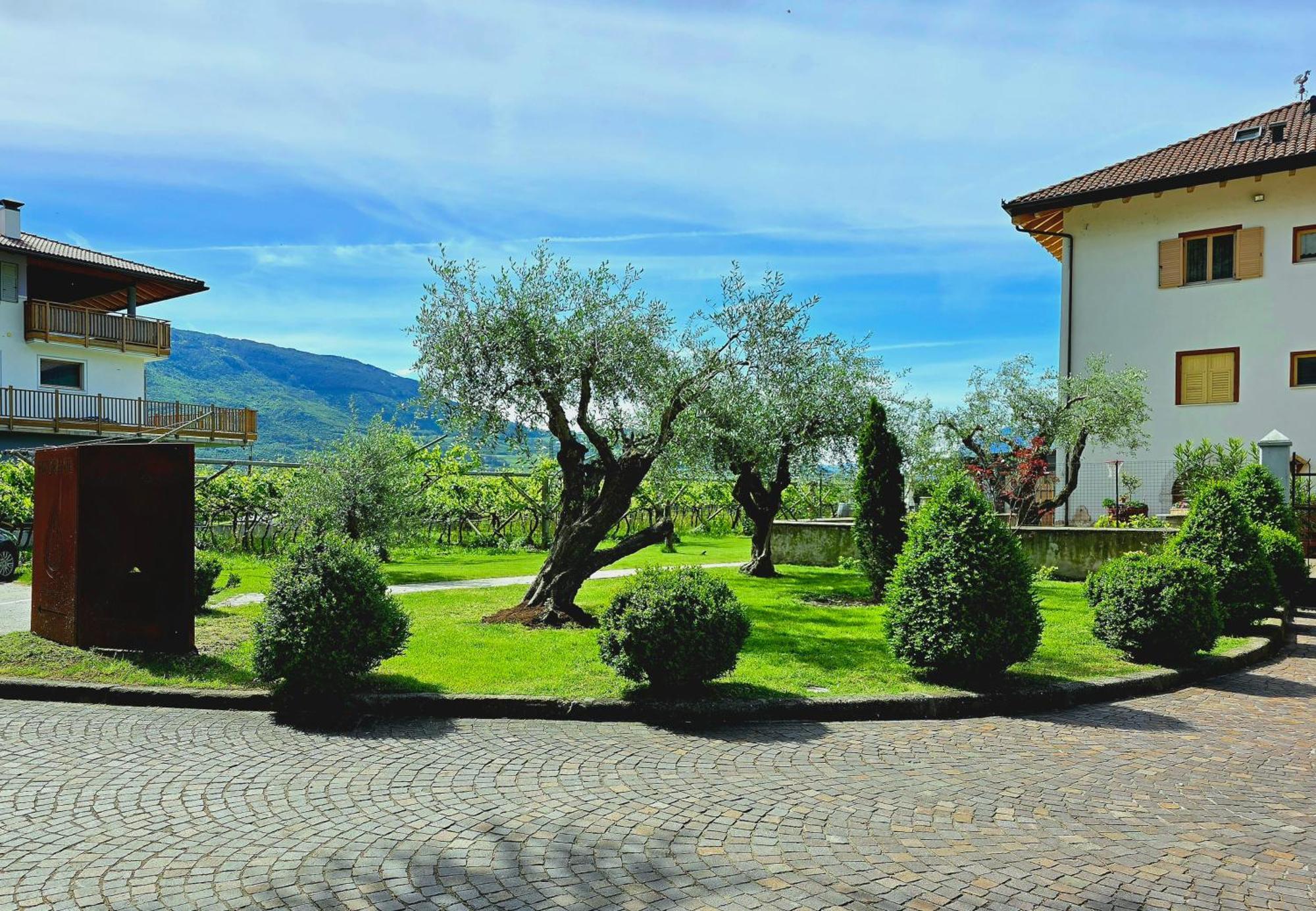 Antico Fienile Agritur Villa Мецокорона Екстериор снимка